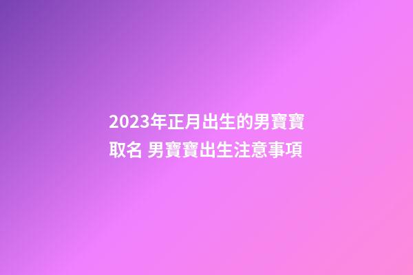 2023年正月出生的男寶寶取名 男寶寶出生注意事項